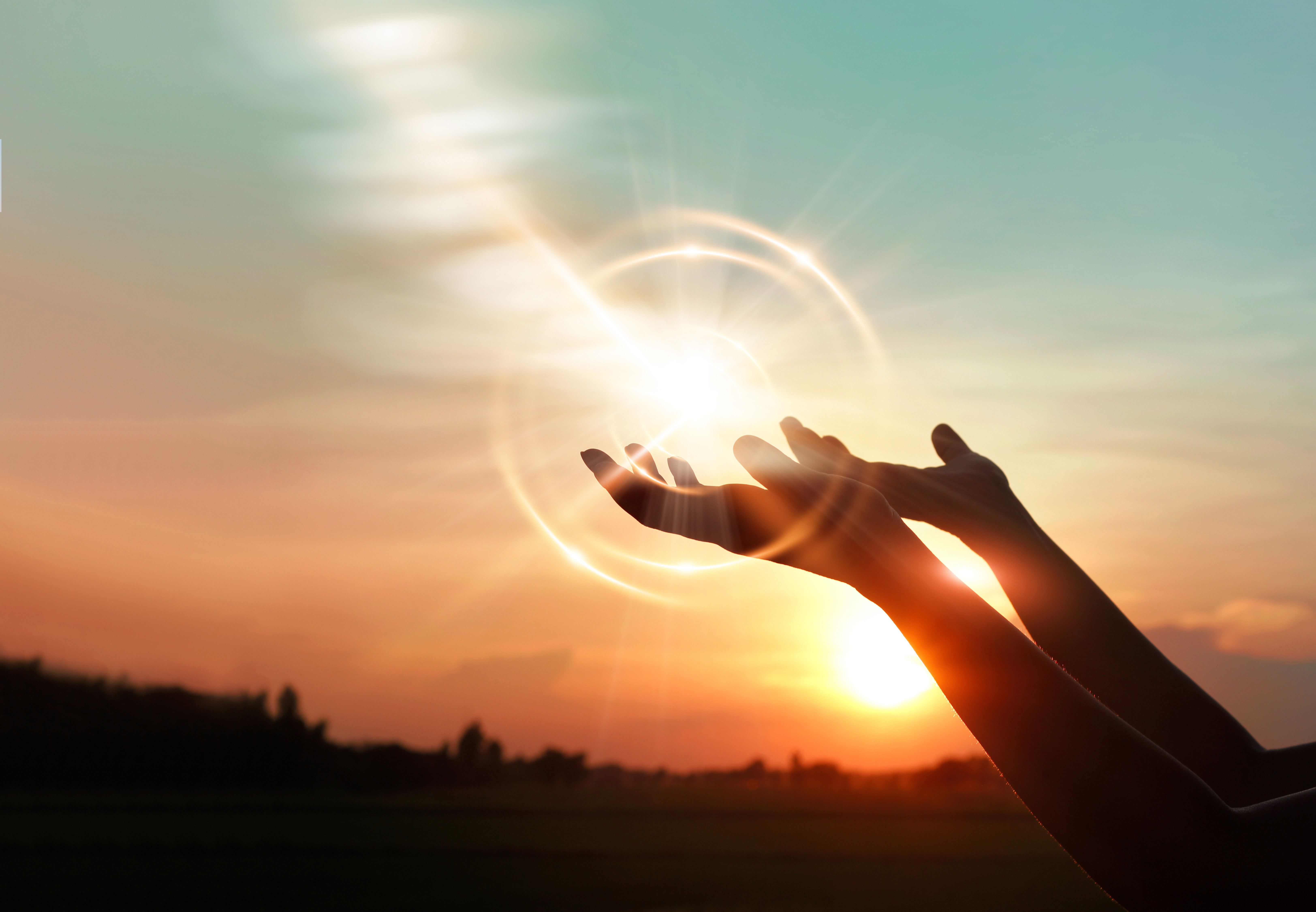 photo of hands held up to sun